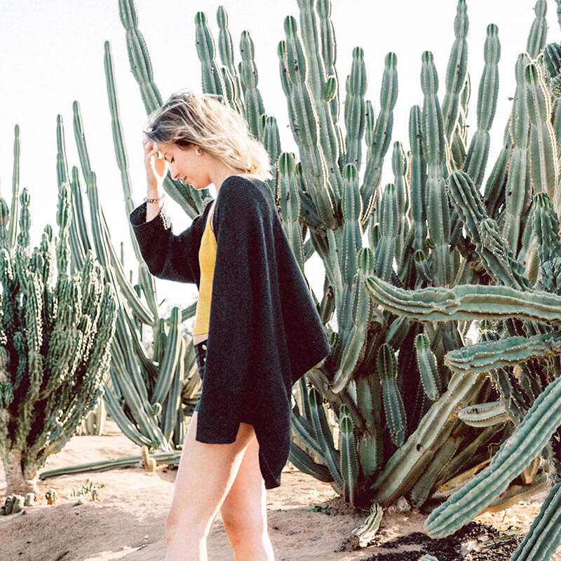 Photoshoots – Cactus Country